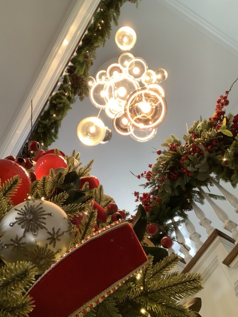 Looking up at Random Solo spheres above holiday greenery