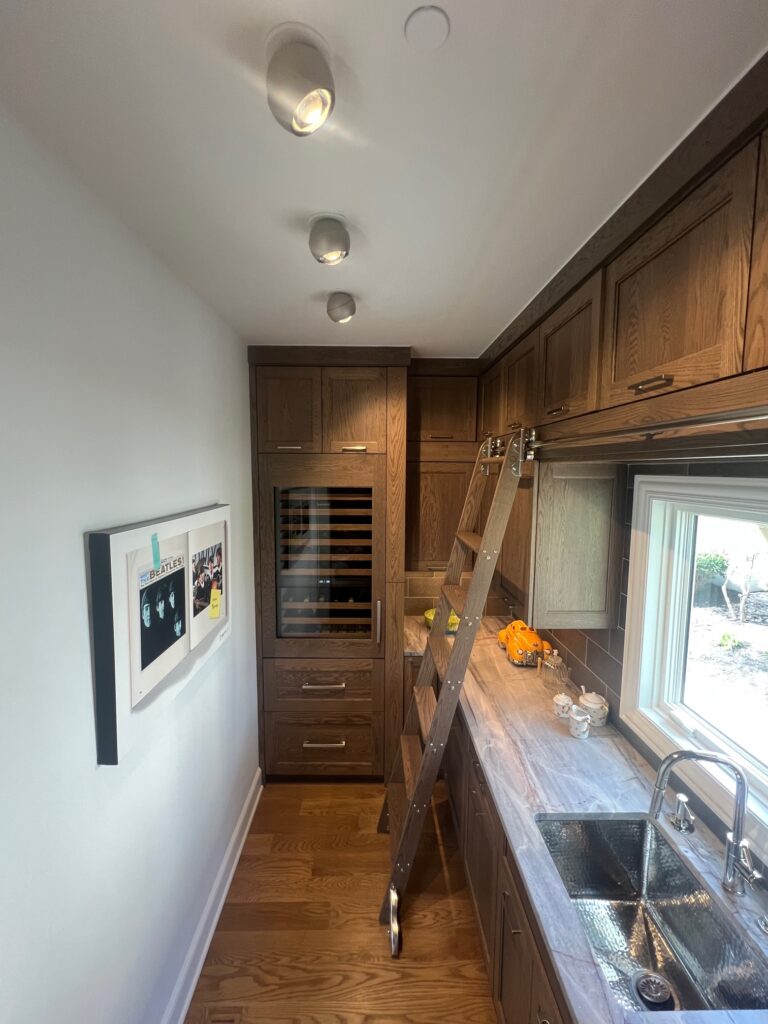 Champagne Spider spots along a galley kitchen