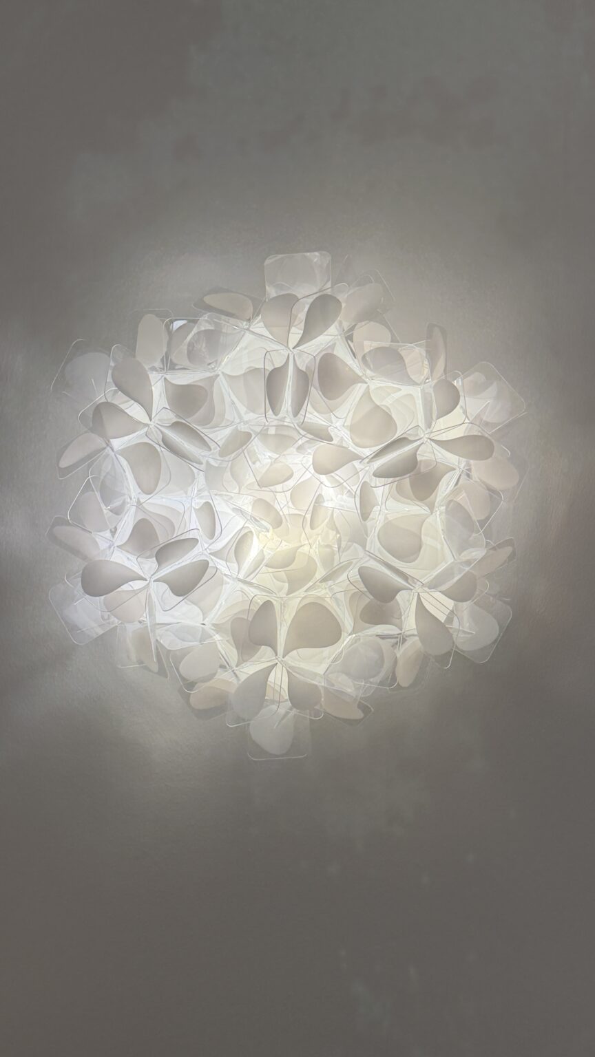 Slamp Clizia Mama Non Mama wall light, a swirl of white pleated petals glowing on a grey showroom wall